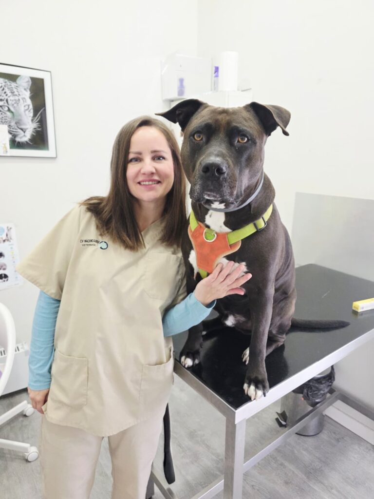 Consulta-general-clinica-veterinaria-golf