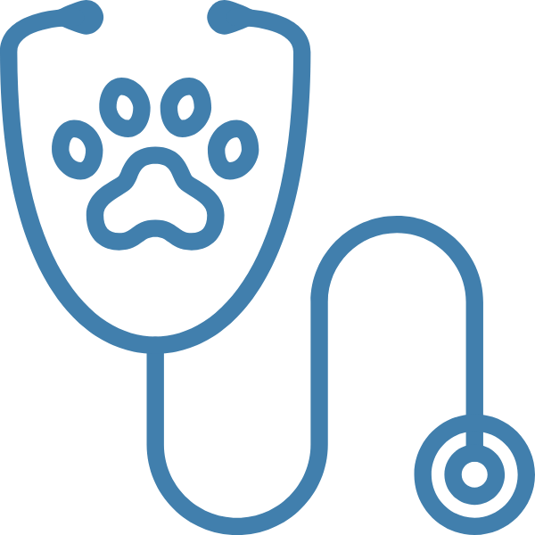 cardiologia
