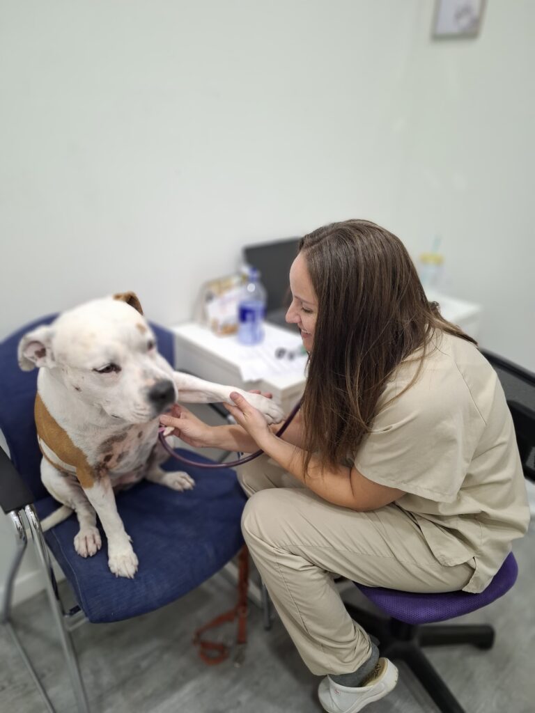 foto-galeria-album-clinicac-1
