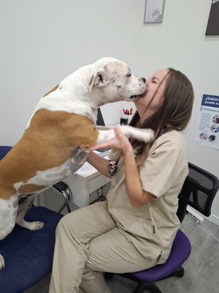 fotos -genericas-album-clinica