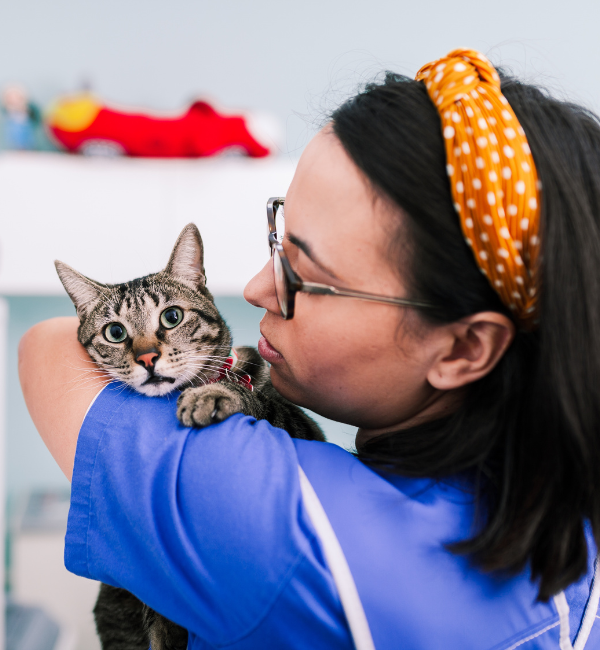 gato y veterinaria
